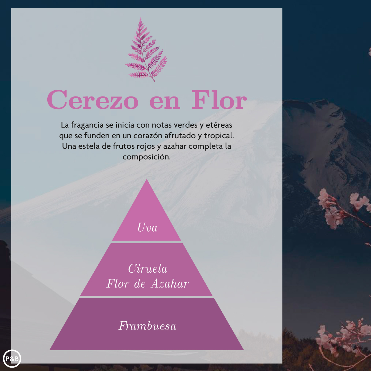 Spray Hogar Cerezo en Flor 225 ml Ambar Zen