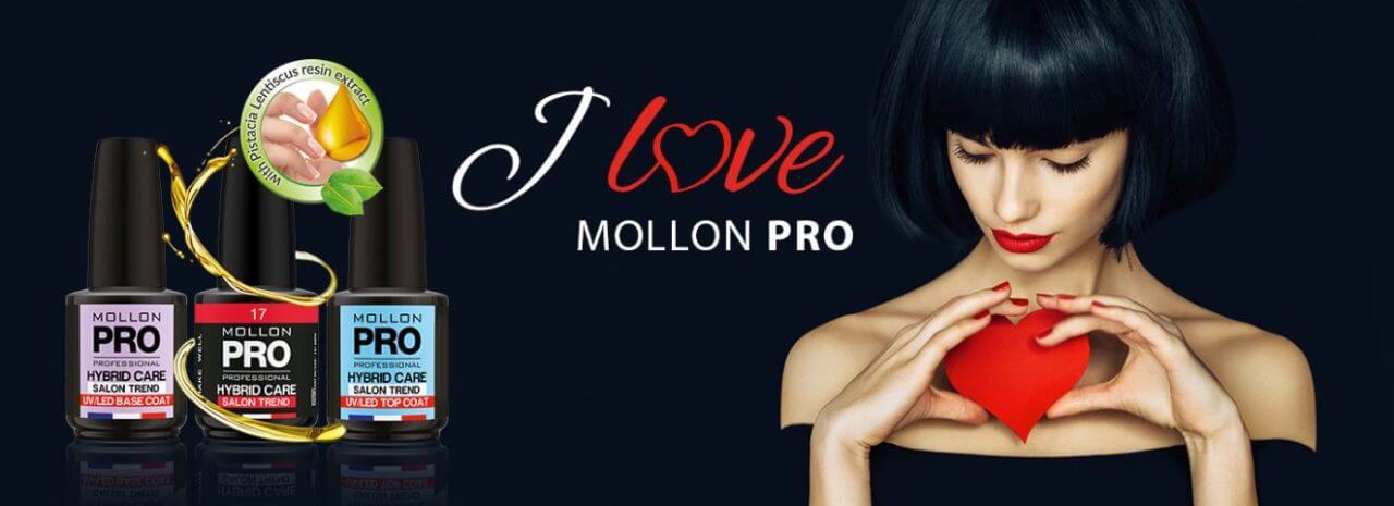 Pincel Profesional Mollon Pro