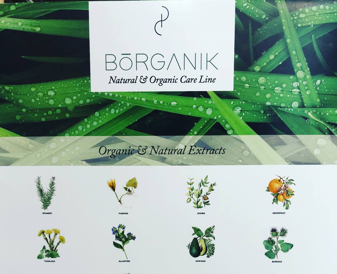 CHAMPÚ NATURAL ANTI FRIZZ PARA CABELLO ENCRESPADO LÍNEA BORGANIK DE PROFESIONAL COSMETICS - Imagen 3